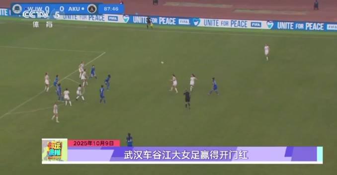 Overseas Chinese Guide: How to Bypass Geo-Restrictions for Chinese Entertainment Content