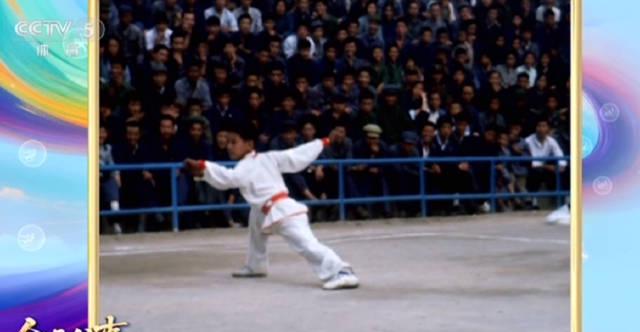 How Overseas Chinese Can Unlock Mainland Streaming Content: From Regional Restrictions to Smooth Viewing